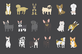 狗 DOG 动物 卡通