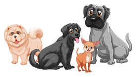 狗 DOG 动物 卡通