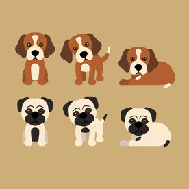 狗 DOG 动物 卡通