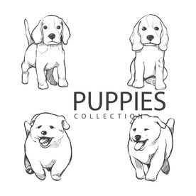 狗 DOG 动物 卡通