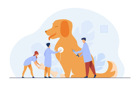 狗 DOG 动物 卡通