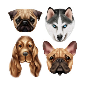 狗 DOG 动物 卡通