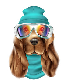 狗 DOG 动物 卡通