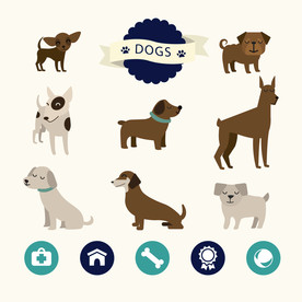 狗 DOG 动物 卡通