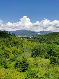 山地丛林  绿树林 白云 蓝天