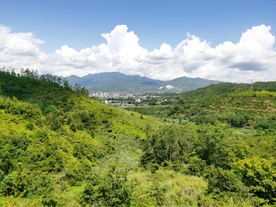 森林  山地风景  蓝天白云