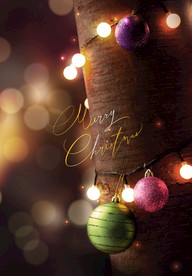 温馨圣诞插画背景装饰海报图图片