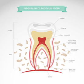 牙齿 口腔 医科
