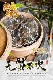 大闸蟹美食销海报psd促广告模