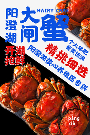 大闸蟹美食销海报psd促广告模