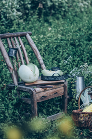 香瓜水果果实背景海报素材