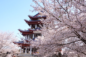 大城市建筑风景摄影