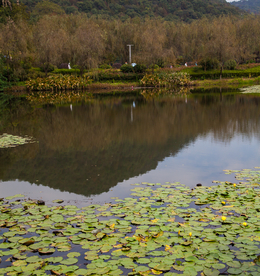 桃花岭景区