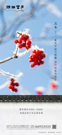 中式地产节气立冬唯美海报