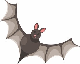 蝙蝠