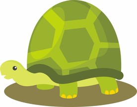 乌龟