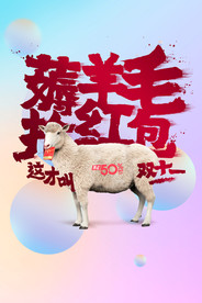 双11 双12购物节