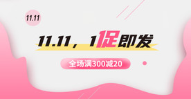 双11 双12购物节