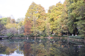 秋天风景