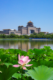 大城市建筑风景摄影