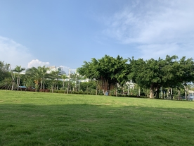 大城市建筑风景摄影