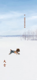 地产大雪节气海报