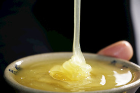 土蜂蜜图片微距