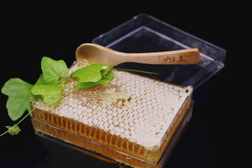 蜂巢蜜图片