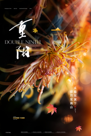 重阳中国风传统节日PS海报素
