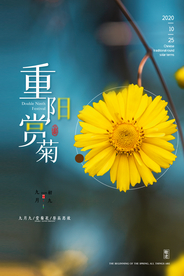 重阳中国风传统节日PS海报素材