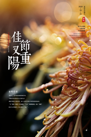 重阳中国风传统节日PS海报素材