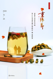 重阳中国风传统节日PS海报素材