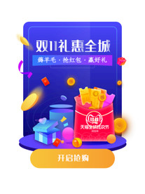 双11 双12购物节