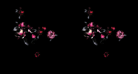 手绘花