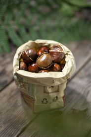 糖炒栗子美食零食背景海报素材