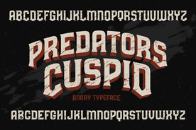 字母 数字 英文