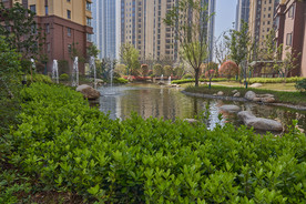城市高楼风光