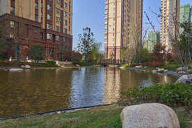 城市高楼风光