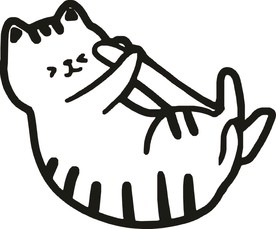 猫