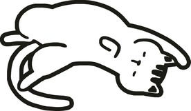 猫