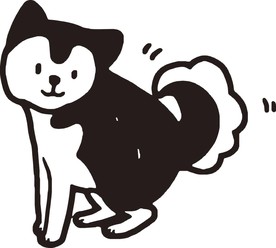 狗