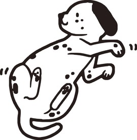 狗