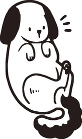 狗