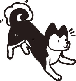 狗