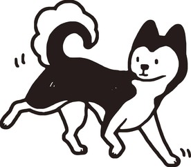 狗