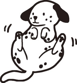 狗