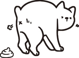 狗