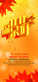 双11 双12购物节