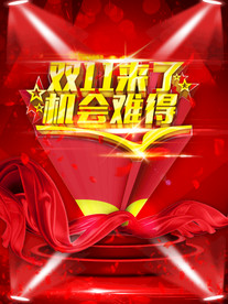 双11 双12购物节