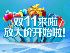 双11 双12购物节